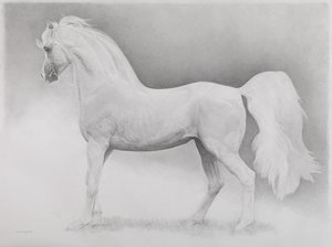 Mozgókép, 2. sorozat, 2013 (grafit, papír)